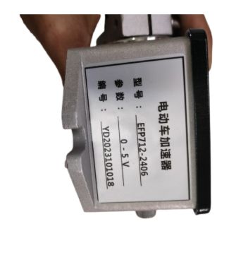 BÀN ĐẠP CHÂN GA 0-5V - CÁI