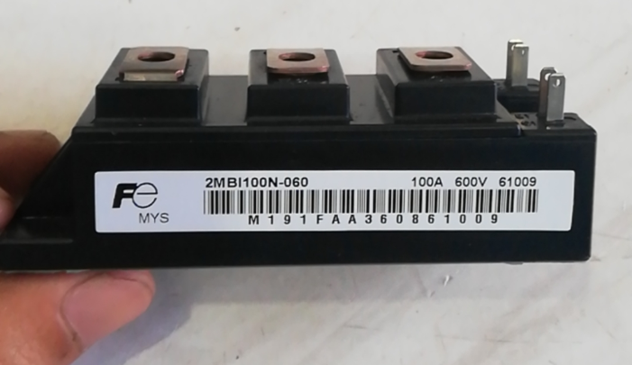 CẦU CHÌ 100A 600V - CÁI